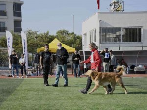 Kuşadası Geleceğin Arama Kurtarma Köpeklerini Ağırladı