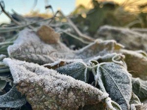 Ağrı’da Termometreler Eksi 2 Dereceyi Gösterdi