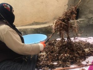 Kadınların Yün Çırpma Mesaisi