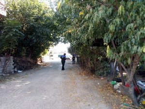 Kadirli’de Görüşü Engelleyen Ağaçlar Budanıyor