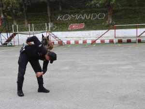 Jandarmanın Hassas Burnu ’Şila’