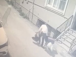 Binadaki Tüm Ayakkabıları Pazar Arabasına Doldurdu