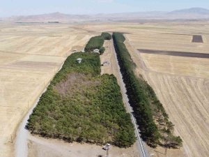 Bozkırın Ortasındaki Vahada Kasım Güzelliği
