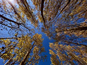 Karasu Çayı Doğal Güzelliyle Renk Cümbüşü Oluşturdu