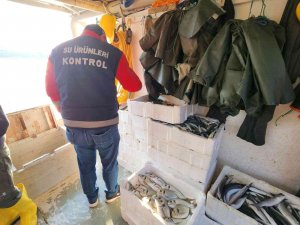 Didim’de Su Ürünleri Denetimi Yapıldı