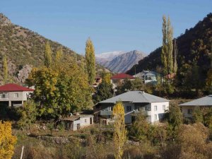Şırnak’ın Bal Ormanları Farklı Renk Tonlarıyla Göz Kamaştırdı