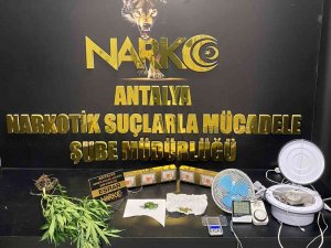 Antalya Emniyetinden Sokak Satıcılarına Operasyon