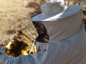 Hobi İle Başladı Hanım Ağa Olma Yolunda İlerliyor