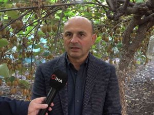 Yalova Kivisi Yurt Dışı Pazarına Açıldı