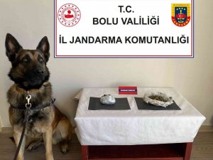 Uyuşturucu Taşıyan Yolcuları Dedektör Köpek Yakaladı
