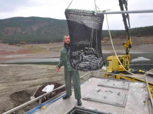 Tokat’tan Rusya’ya Somon İhracatı