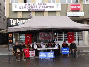 Evlat Nöbetindeki Anneler İ̇stanbul’daki Terör Saldırısını Kınadı