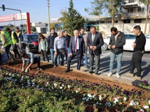 Mardin Büyükşehir Belediyesi, Yeşil Bir Mardin İçin Çalışıyor