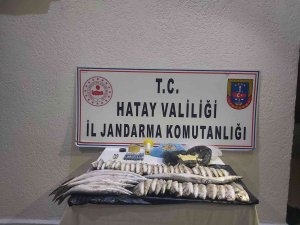 Yasa Dışı Balık Avlayan 3 Kişiye 44 Bin 580 Lira Ceza