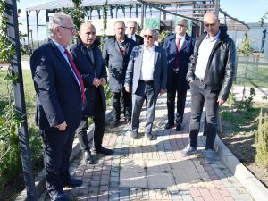 Altınova Tıbbi Aromatik Bitkiler Bahçesinde Bilimsel Çalışmalar Başlıyor