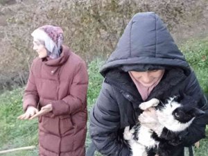 Yağmur Suyu Hattına Sıkışan Kedi, Ekipler Tarafından Kurtarıldı