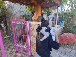 Bodrum’da Otel Alevlere Teslim Oldu