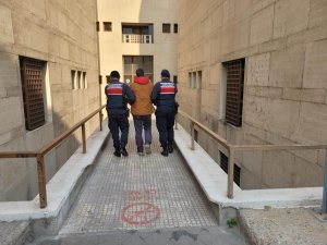 Bursa’da Jandarmadan Hırsız Operasyonu
