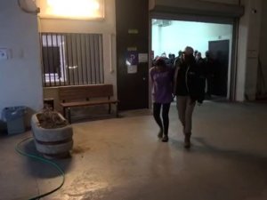 İ̇stiklal Caddesi’nde Bombalı Saldırı Düzenleyen Terörist Ahlam Albashır Ve Beraberindeki 48 Kişi Adliyeye Sevk Edildi