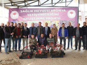 İ̇znik’in Bereketi, Sağlık Meyvesi Aronya İle Buluşuyor
