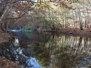 ‘Sakin Şehir’ Arapgir’de Sonbahar Göz Kamaştırıyor