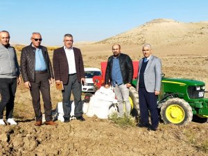 Yerli, Ekmeklik Ve Makarnalık Buğdaylarına Deneme Ekimi Yapıldı