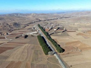 Dikiliş Nedenleri Görüntüsü Kadar Dikkat Çekici