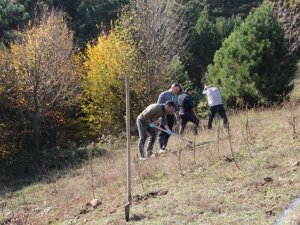 Yaban Hayvanları İçin 175 Fidan Dikildi