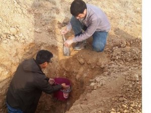 Şaphane’de Ceviz Dikimi Öncesi Toprak Analizi İçin Numune Alımı