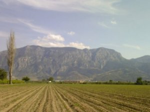 Türkiye’de Çeşitli Etkinlik Ve Eğitimlerle Erozyona Ve Biyolojik Çeşitliliğe Dikkat Çekilecek