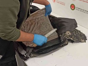İ̇stanbul Havalimanı’nda Keçeye Emdirilmiş 3 Kilo 680 Gram Morfin Yakalandı