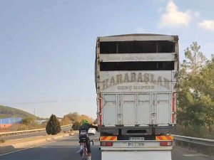 Aydın-muğla Karayolunda Bisikletle Tehlikeli Yolculuk Kamerada
