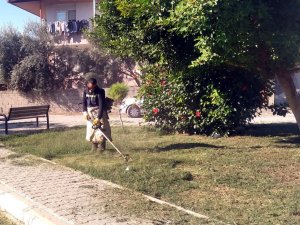 Akdeniz’de Park Ve Yeşil Alanlar Elden Geçiriliyor