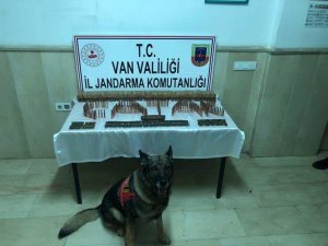 Çatak’ta Çok Sayıda Mühimmat Ele Geçirildi