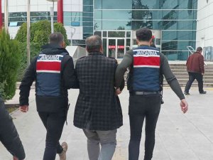 Terör Operasyonunda 1 Şahıs Tutukladı
