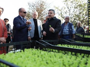 Düzce’de ‘Salata, Marulsuz Olmaz’ Projesi Başladı