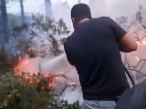 Beykoz’da Orman Yangını