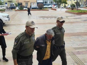 Köpek Tecavüzcüsü Tutuklandı