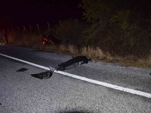 Didim’de Trafik Kazası: 2 Ölü