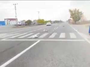 Iğdır’da Otomobilin Çarptığı Kazlar Telef Oldu