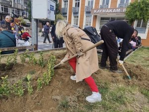 Devrek’te Topraklar Taflan İle Buluştu