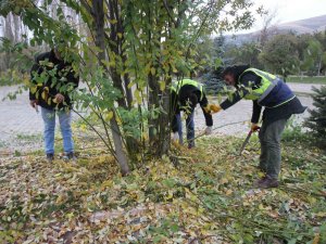 Bayburt Belediyesinden Ağaç Budama Çalışması