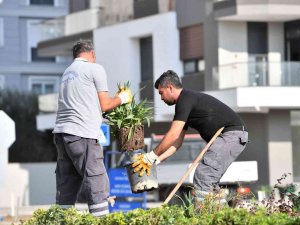 Konyaaltı’nda Kış Hazırlıkları