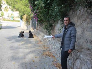18 Yaşında Hayatını Kaybeden Berfin’in Ailesi, Kazanın Aydınlatılmasını İstiyor