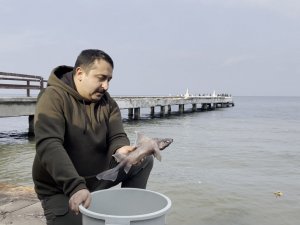 Oltasına Nadir Görülen ’Domuz Köpekbalığı’ Takıldı