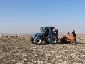 Emirdağ’da Sulu Ve Kuru Buğday Çeşitlerinin Deneme Ekimi Yapıldı