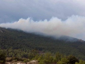 İ̇zmir’de İki İlçede Orman Yangını