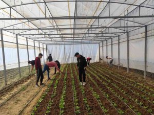 Hem Öğrenecekler, Hem Kazanacaklar