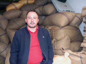 Fındık Fiyatları Yükselişe Geçti