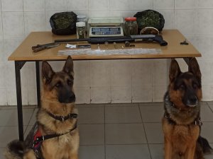 Sakarya’da Uyuşturucu Operasyonu: 1 Gözaltı